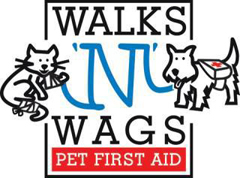 Pet First Aid Certificate